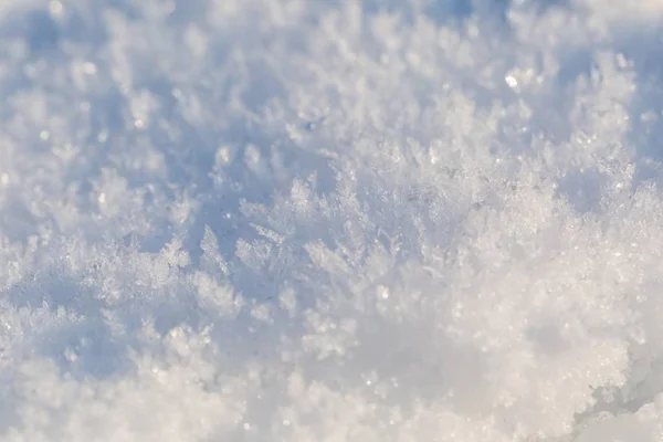 Sneeuwkristallen in grote close-up — Stockfoto