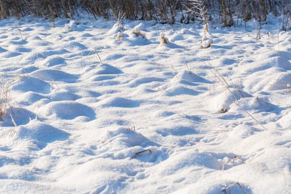 Fondo neve invernale con piante innevate — Foto Stock