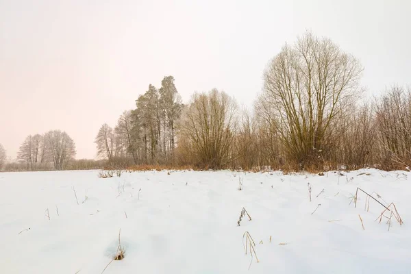 Winter neblige Landschaft in der polnischen Landschaft — Stockfoto