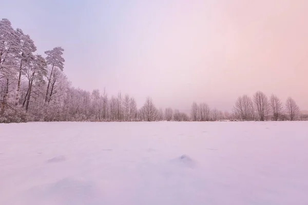 Paysage brumeux d'hiver dans la campagne polonaise — Photo