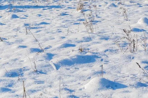 Fondo neve invernale con piante innevate — Foto Stock