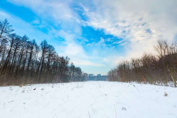 Polonês paisagem rural de inverno típico — Fotografia de Stock