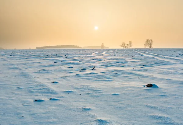 Winter verschneite Felder und nebliger Tag — Stockfoto