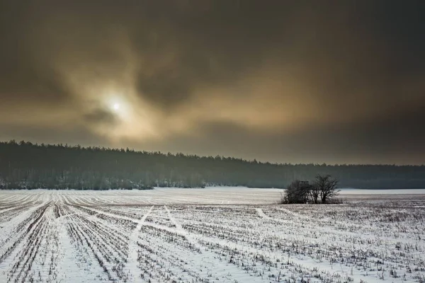 Зимові снігові поля і день туману — стокове фото
