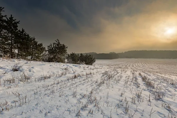 Zimą snowy pola i mglisty dzień — Zdjęcie stockowe