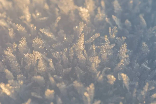 Snow crystals in big close up — Stock Photo, Image