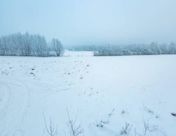 Winter foggy landscape in polish countryside — Stock Photo, Image