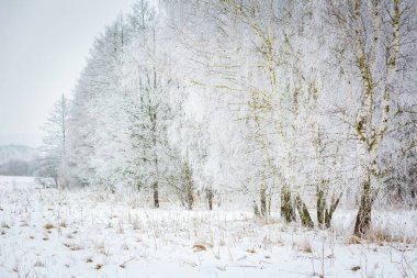Lehçe kış manzarası 