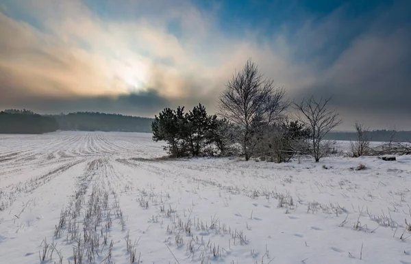 Campos nevados de invierno y día de niebla —  Fotos de Stock