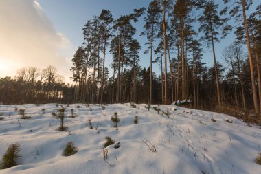 güzel kış günbatımı