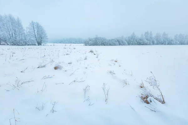 Inverno nevoeiro paisagem no campo polonês — Fotografia de Stock