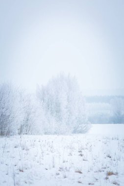 Lehçe kış manzarası 