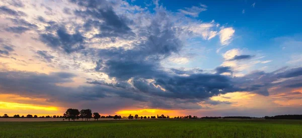 Beautiful idyllic sunset over spring meadows — Stock Photo, Image