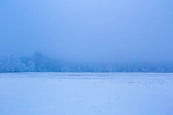 Winter foggy fields near forest landscape. Calm cloudy weather in snowy winter.