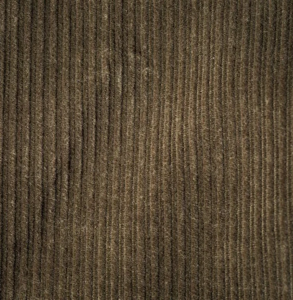 Corduroy background in close up — Stock Photo, Image