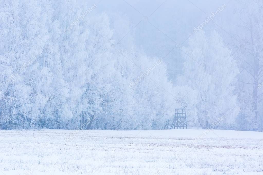 Winter foggy fields near forest landscape