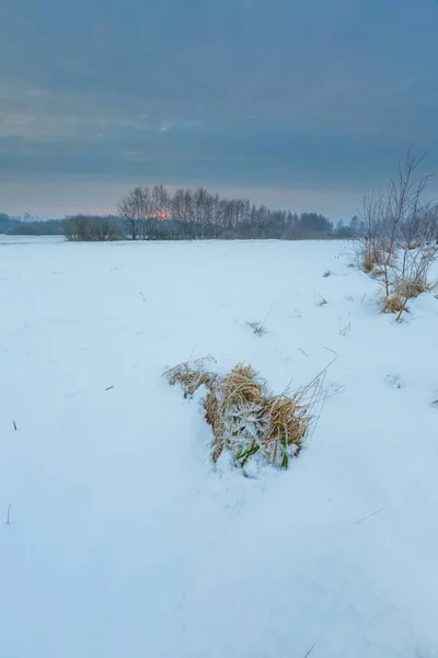 Polaco paisaje rural típico invierno — Foto de Stock