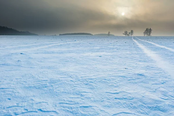 Winter besneeuwde velden en mistige dag — Stockfoto