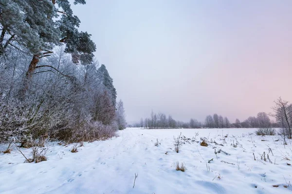 Inverno nebbioso paesaggio in campagna polacca — Foto Stock