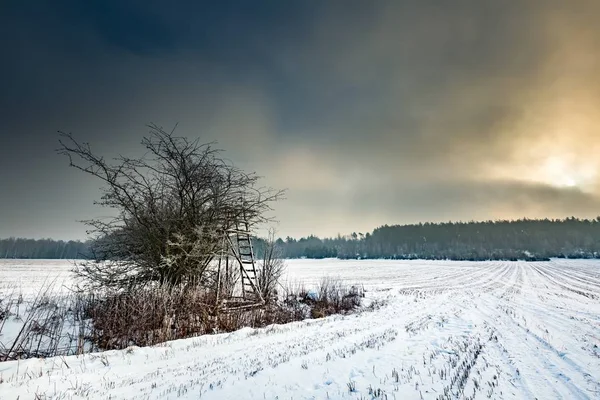 Kışın karlı alanları yükseltilmiş gizle ve sisli gün — Stok fotoğraf
