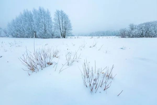 Inverno nevoeiro paisagem no campo polonês — Fotografia de Stock