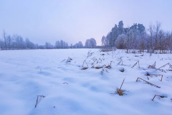 Mistige winterlandschap in Poolse platteland — Stockfoto