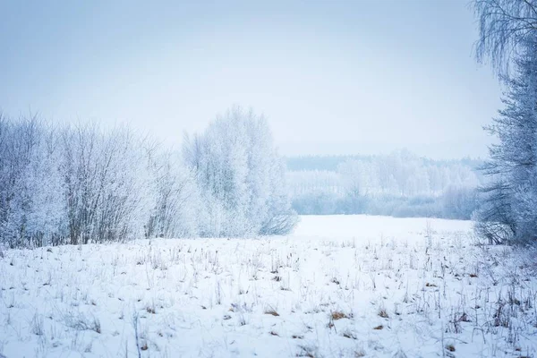 Paysage d'hiver polonais — Photo