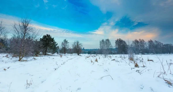 Зимний пейзаж Польши — стоковое фото