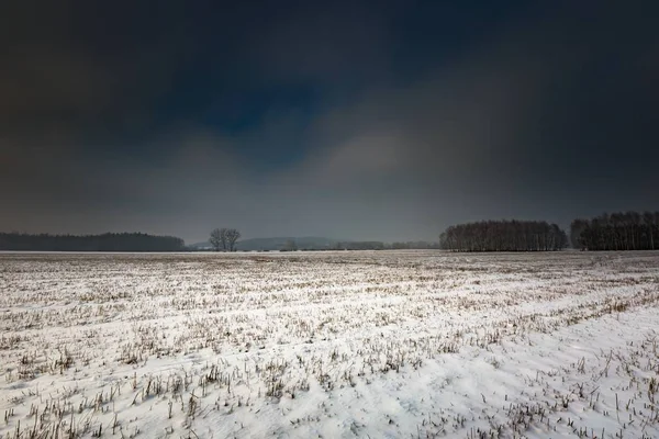 Winter verschneite Felder und nebliger Tag — Stockfoto