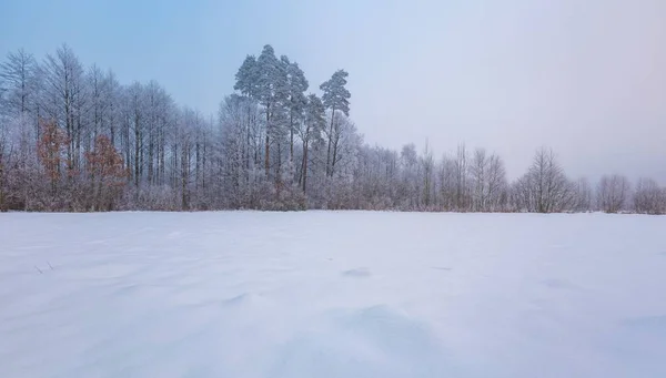 Inverno nevoeiro paisagem no campo polonês — Fotografia de Stock