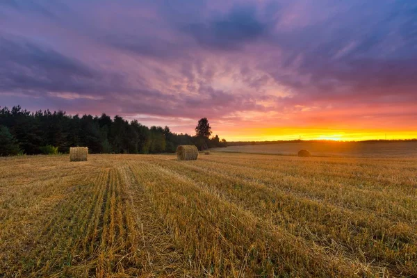 Beau ciel couchant sur le champ de chaume et les balles de paille — Photo