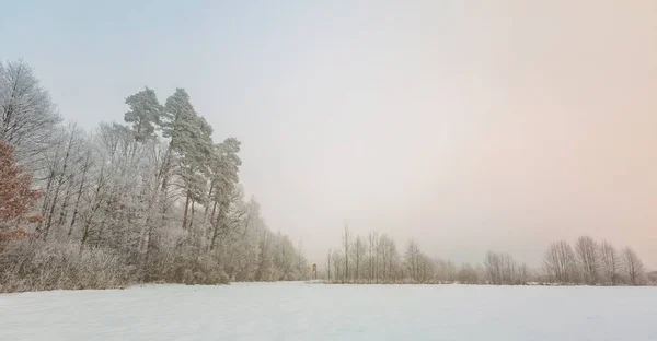Winter foggy landscape in polish countryside — Stock Photo, Image