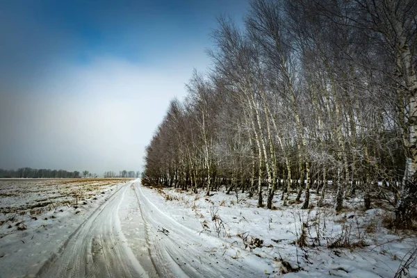 Paysage rural polonais typique d'hiver — Photo