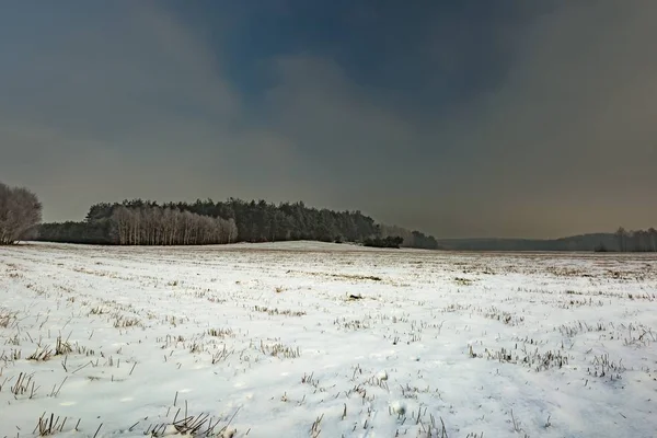 Kışın karlı alanları ve sisli gün — Stok fotoğraf
