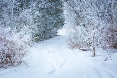 Lehçe kış manzarası 