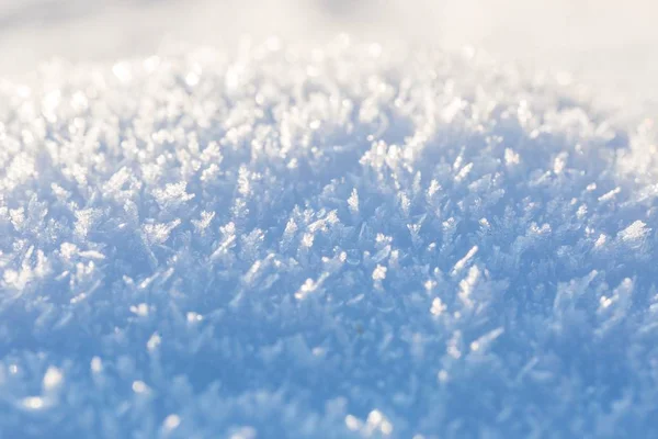 Cristales de nieve en gran primer plano — Foto de Stock
