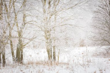 Lehçe kış manzarası 