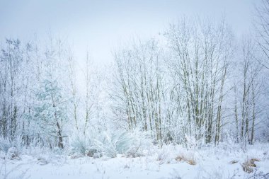 Lehçe kış manzarası 