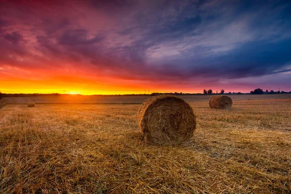 Sunset sky over field with straw bales — Stock Photo, Image