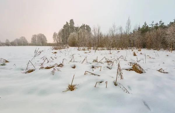 Paisaje nublado de invierno en el campo polaco —  Fotos de Stock