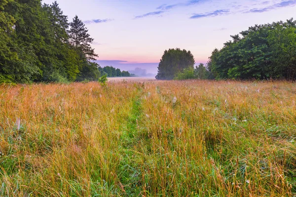 Levendige landschap met mistige weide in Polen — Stockfoto