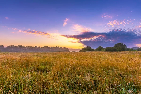 Vibrant landscape with foggy meadow in Poland — Stock Photo, Image
