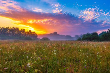 Sisli, büyülü meadow üzerinden canlı yaz gündoğumu