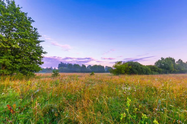 Calm and tranquil place with untouched wild meadow at sunrise — Stock Photo, Image