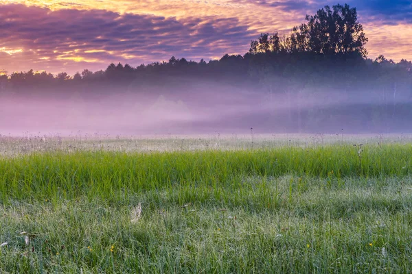 Local calmo e tranquilo com prado selvagem intocado ao nascer do sol — Fotografia de Stock