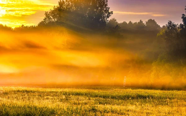 Beautiful morning foggy meadow landscape — Stock Photo, Image