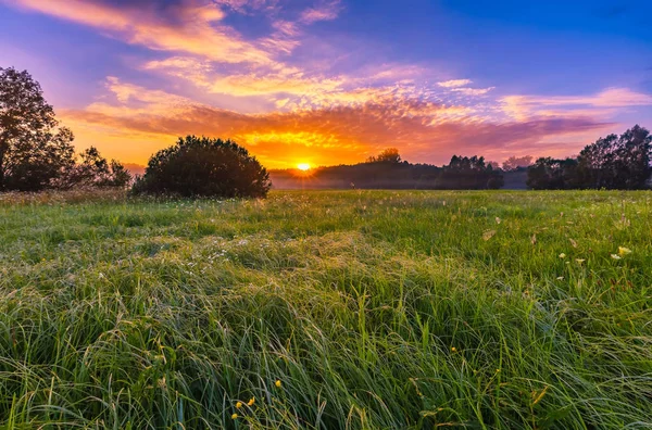 Nascer do sol de verão vibrante sobre prado nebuloso e mágico — Fotografia de Stock