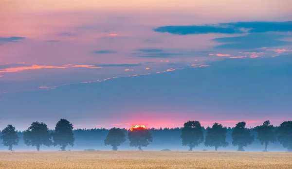 Zauberhafter Morgen auf polnischem Feld. — Stockfoto