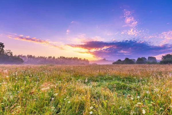 Calm and tranquil place with untouched wild meadow at sunrise — Stock Photo, Image