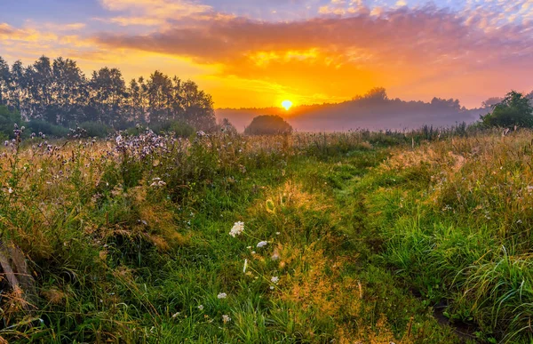 Paisaje vibrante con prado brumoso en Polonia —  Fotos de Stock